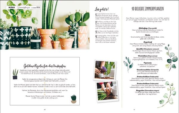 Produktbild: Ein Jahr voller Ideen - Do it yourself