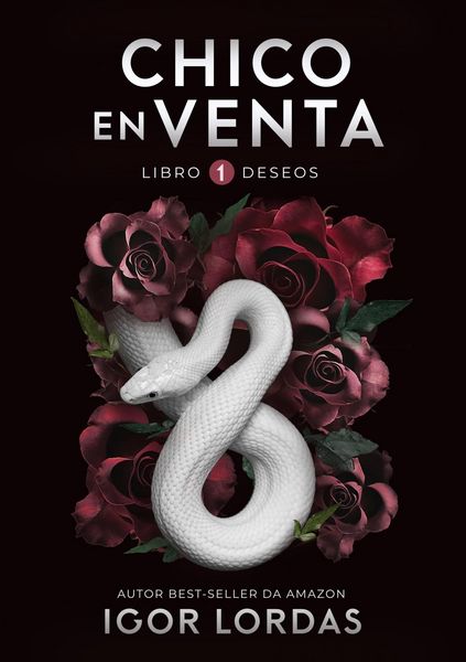 Produktbild: Chico en Venta - Libro 1 (Deseos)