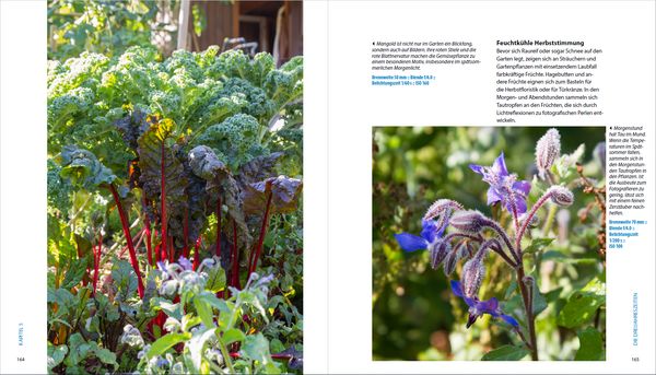 Produktbild: Garten-Shooting