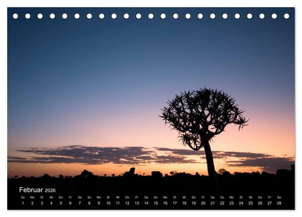 Produktbild: Astrein! - Der Baumkalender 2026 (Tischkalender 2026 DIN A5 quer), CALVENDO Monatskalender