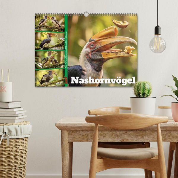 Produktbild: Nashornv&ouml;gel (Wandkalender 2027 DIN A3 quer), CALVENDO Monatskalender