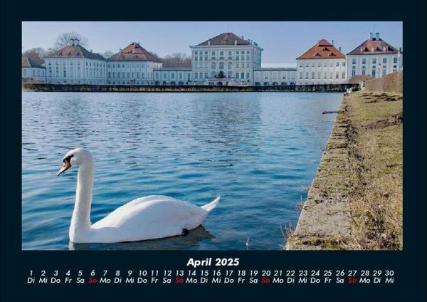 Produktbild: Welt der Tiere 2025 Fotokalender DIN A4