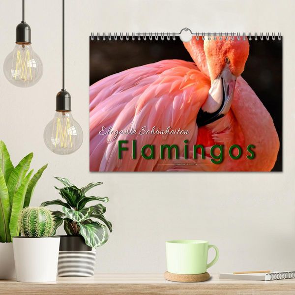 Produktbild: Flamingos - elegante Sch&ouml;nheiten (Wandkalender 2026 DIN A4 quer), CALVENDO Monatskalender