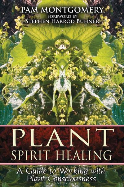 Produktbild: Plant Spirit Healing