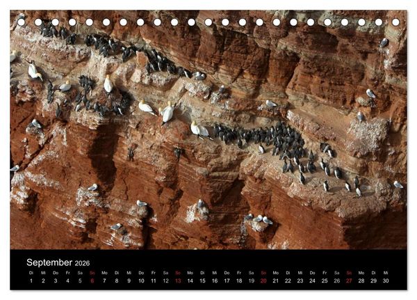 Produktbild: Helgoland (Tischkalender 2026 DIN A5 quer), CALVENDO Monatskalender
