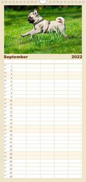 Produktbild: Mops - Familienplaner hoch (Wandkalender 2022 , 21 cm x 45 cm, hoch)