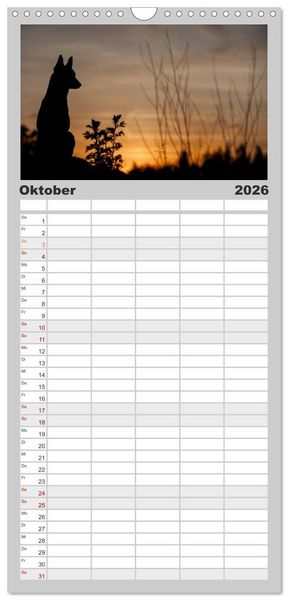 Produktbild: Familienplaner 2026 - Belgische Sch&auml;ferhunde - Der Malinois im Licht mit 5 Spalten (Wandkalender, 21 x 45 cm) CALVENDO