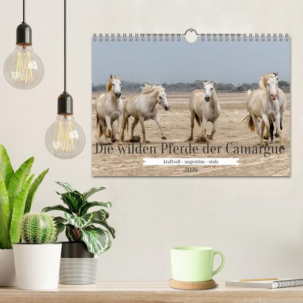 Produktbild: Die wilden Pferde der Camargue (Wandkalender 2026 DIN A4 quer), CALVENDO Monatskalender