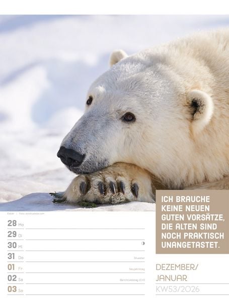 Produktbild: Tierisch Spr&uuml;chekalender Wochenplaner 2027