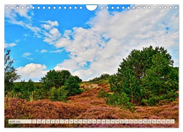 Produktbild: L'Allemagne, tes paysages (Calendrier mural 2026 DIN A4 vertical), CALVENDO calendrier mensuel