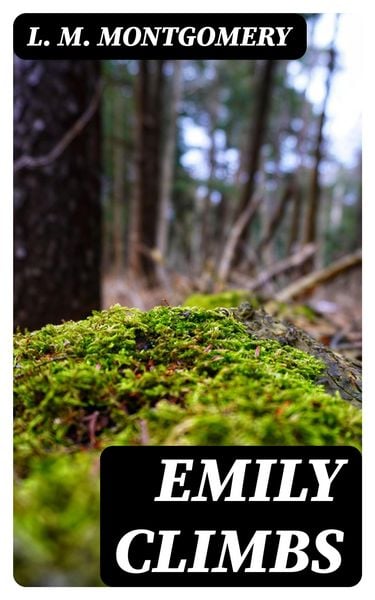 Produktbild: Emily Climbs