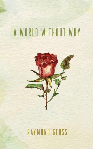 Produktbild: A World without Why