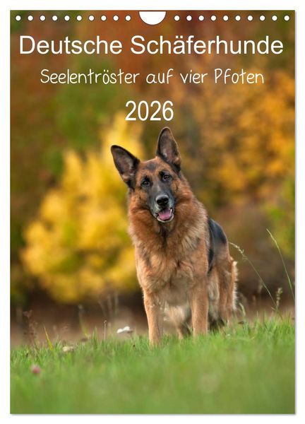 Produktbild: Deutsche Sch&auml;ferhunde - Seelentr&ouml;ster auf vier Pfoten (Wandkalender 2026 DIN A4 hoch), CALVENDO Monatskalender