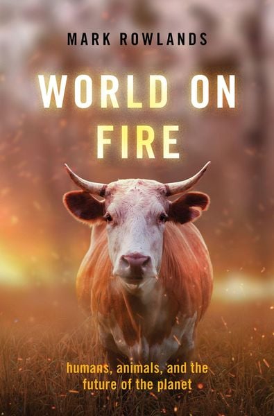 Produktbild: World on Fire