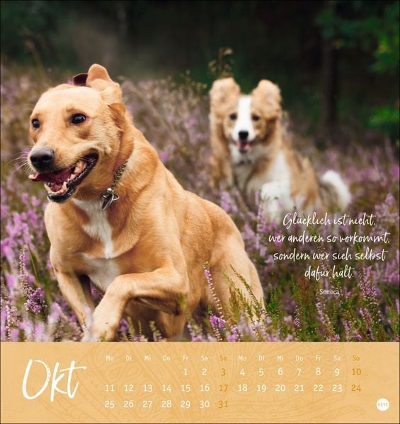 Produktbild: Tage voller Gl&uuml;ck Postkartenkalender 2027