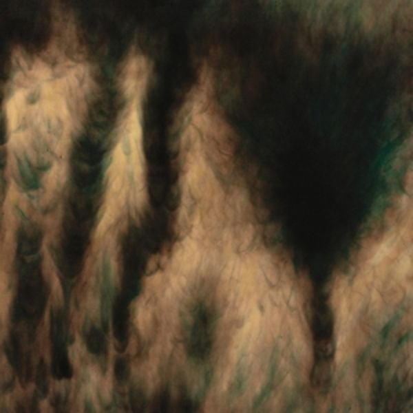 Lamentations - William Basinski, CD