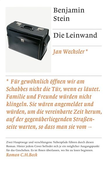 Die Leinwand, Gebundene Ausgabe von Benjamin Stein, C.H. Beck, 9783406598418
