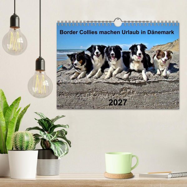Produktbild: Border Collies machen Urlaub in D&auml;nemark (Wandkalender 2027 DIN A4 quer), CALVENDO Monatskalender