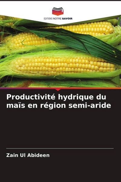Produktbild: Productivit&eacute; hydrique du ma&iuml;s en r&eacute;gion semi-aride