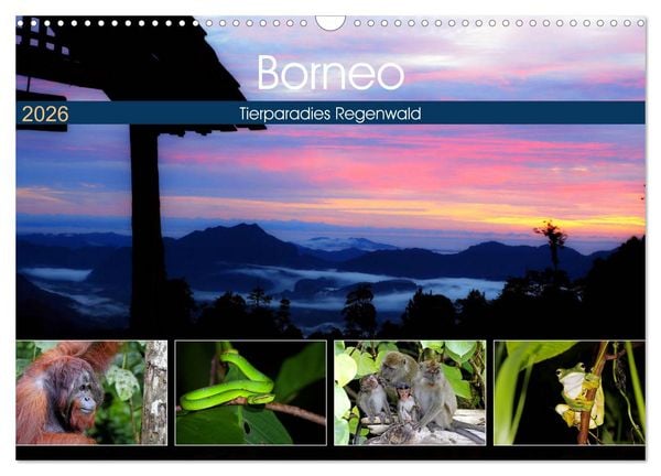 Borneo - Tierparadies Regenwald (Wandkalender 2026 DIN A3 quer), CALVENDO Monatskalender