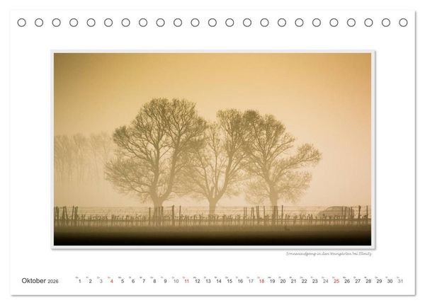 Produktbild: Neusiedler See / CH-Version (Tischkalender 2026 DIN A5 quer), CALVENDO Monatskalender
