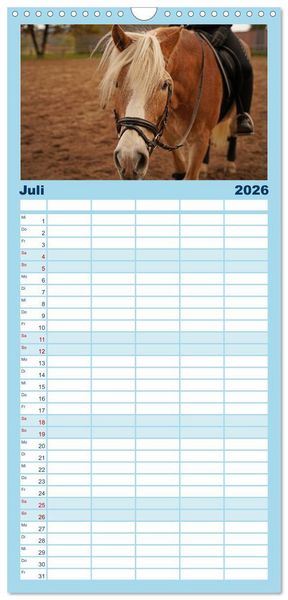 Produktbild: Familienplaner 2026 - Faszination Haflinger mit 5 Spalten (Wandkalender, 21 x 45 cm) CALVENDO