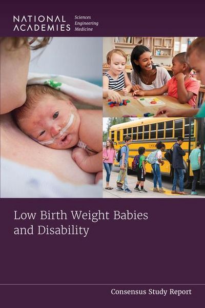 Produktbild: Low Birth Weight Babies and Disability