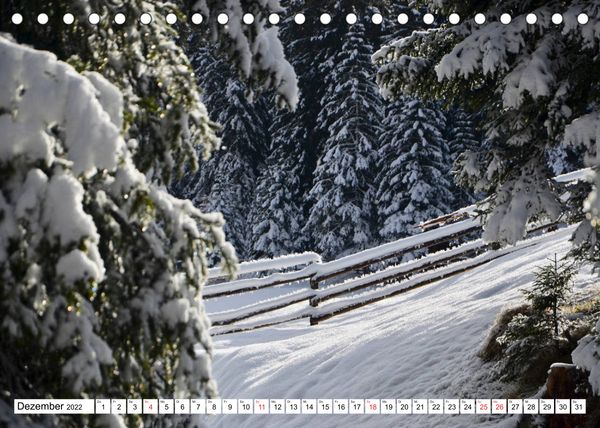 Produktbild: B&auml;ume in Italien (Tischkalender 2022 DIN A5 quer)