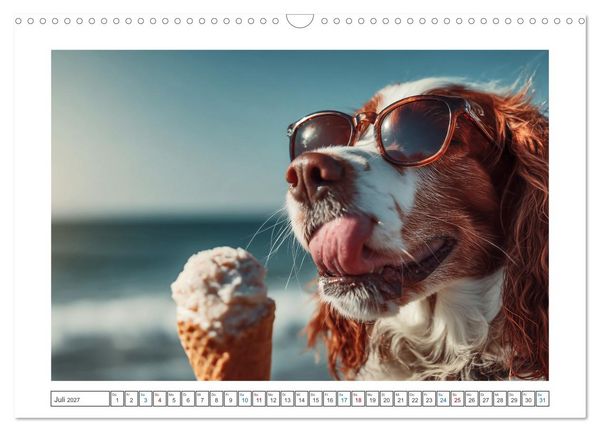 Produktbild: WUFF und WOW (Wandkalender 2027 DIN A3 quer), CALVENDO Monatskalender