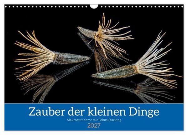 Produktbild: Zauber der kleinen Dinge (Wandkalender 2027 DIN A3 quer), CALVENDO Monatskalender