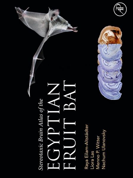 Produktbild: Stereotaxic Brain Atlas of the Egyptian Fruit Bat