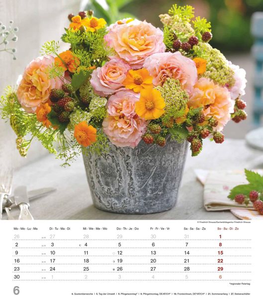 Produktbild: Alpha Edition - Der Duft der Rosen 2025 Bildkalender, 30,x34cm, Kalender mit sch&ouml;nen Bildmotiven f&uuml;r jeden Monat, Monats&uuml;bersicht, Feiertage DE/AT/CH und internationales Kalendarium