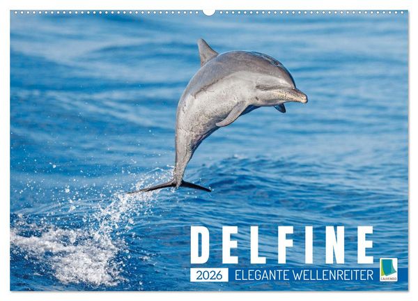 Produktbild: Delfine: Elegante Wellenreiter (Wandkalender 2026 DIN A2 quer), CALVENDO Monatskalender
