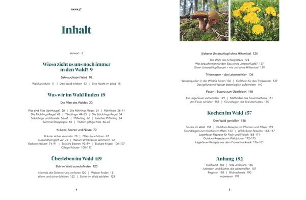 Abenteuer Wald