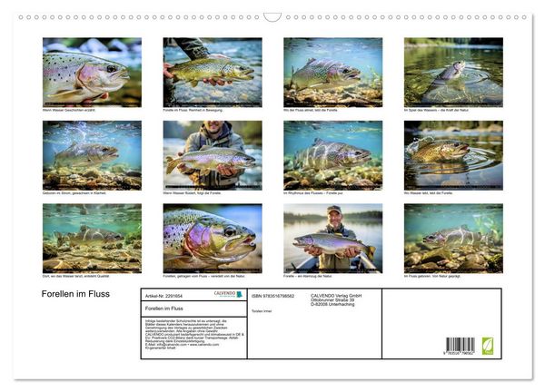Produktbild: Forellen im Fluss (Wandkalender 2027 DIN A2 quer), CALVENDO Monatskalender
