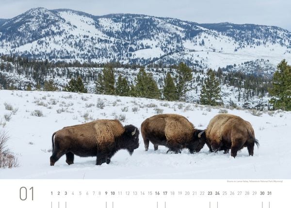 Produktbild: USA Exklusivkalender 2027