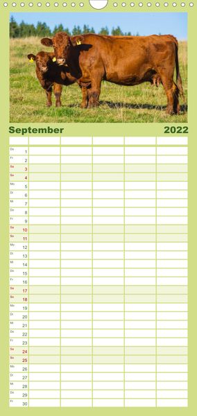 Produktbild: Ein Herz f&uuml;r Rinder - Familienplaner hoch (Wandkalender 2022 , 21 cm x 45 cm, hoch)