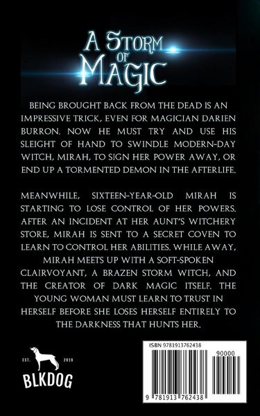 Produktbild: A Storm of Magic