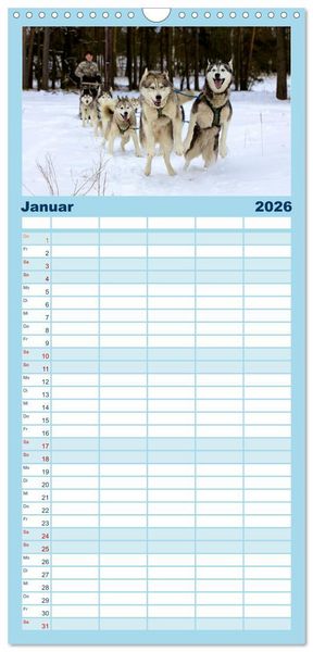 Produktbild: Familienplaner 2026 - Huskies! mit 5 Spalten (Wandkalender, 21 x 45 cm) CALVENDO