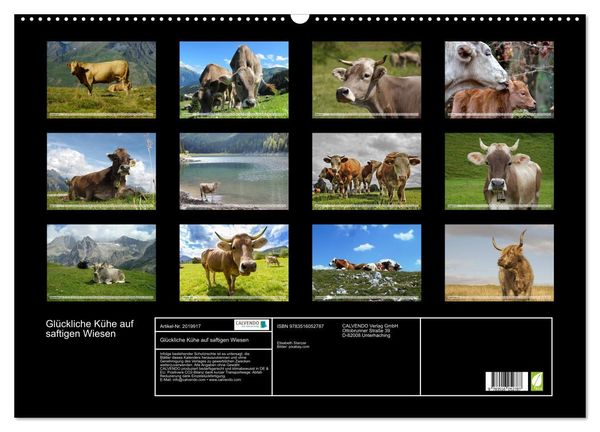 Produktbild: Gl&uuml;ckliche K&uuml;he auf saftigen Wiesen (Wandkalender 2026 DIN A2 quer), CALVENDO Monatskalender