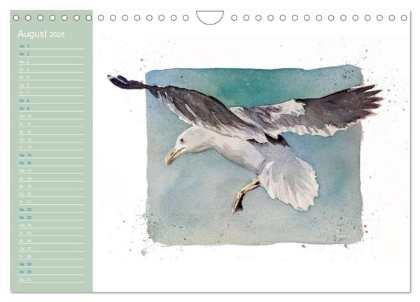 Produktbild: M&ouml;wen - Aquarelle von Julia Pasinski (Wandkalender 2026 DIN A4 quer), CALVENDO Monatskalender