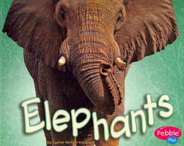 Produktbild: Elephants