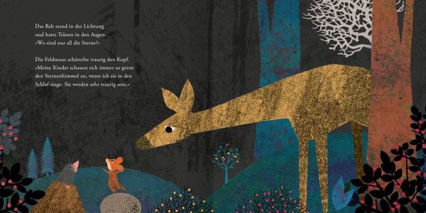 Produktbild: Der Maulwurf und die Sterne