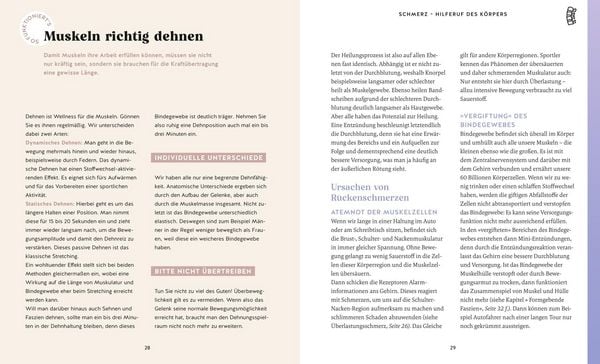Produktbild: Bandscheiben-Akut-Training