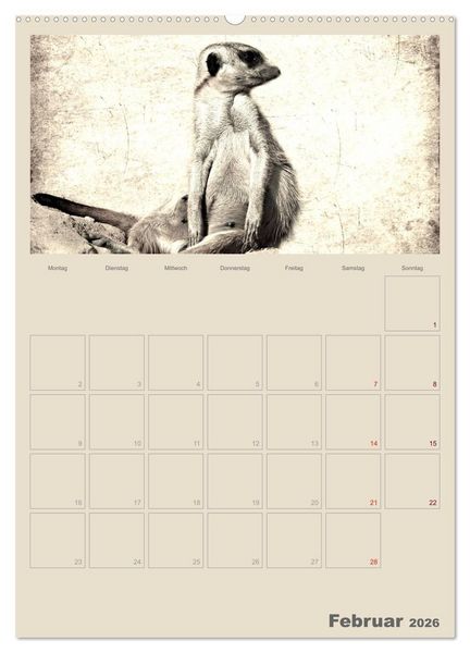Produktbild: Lustige Erdm&auml;nnchen (Wandkalender 2026 DIN A2 hoch), CALVENDO Monatskalender