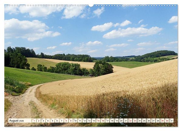 Produktbild: Viele Wege - ein Ziel Wandern im Odenwald (Wandkalender 2026 DIN A2 quer), CALVENDO Monatskalender