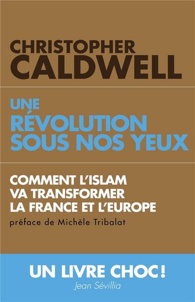 Produktbild: Comment l'Islam Va Transformer l'Europe et la France