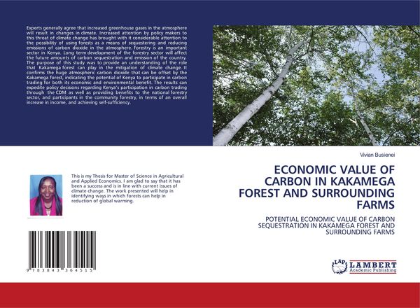 Produktbild: ECONOMIC VALUE OF CARBON IN KAKAMEGA FOREST AND SURROUNDING FARMS