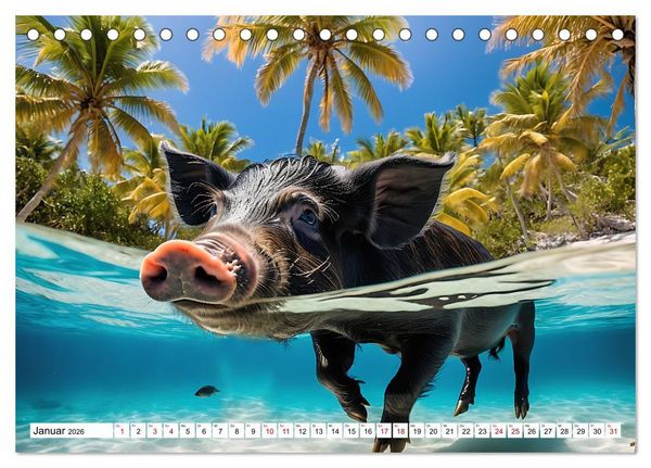 Produktbild: Schwimmende Schweine im Paradies (Tischkalender 2026 DIN A5 quer), CALVENDO Monatskalender
