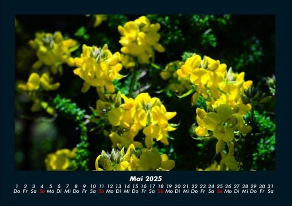 Produktbild: Blumenkalender 2025 Fotokalender DIN A4